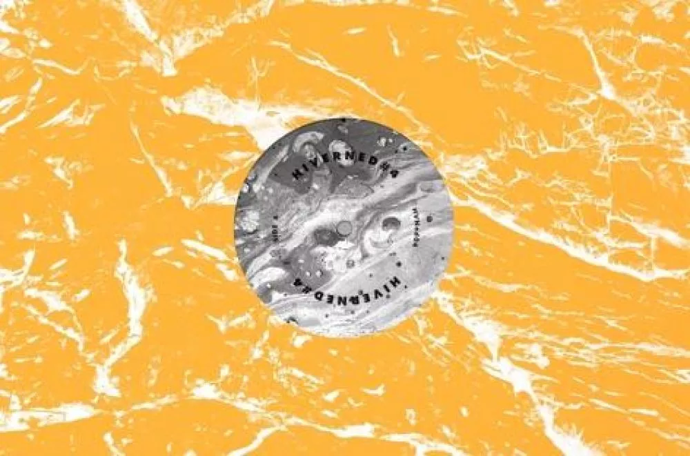 Illustration pour John Talabot en compagnie de Pional clôture la série de sorties vinyles Hivern Edit