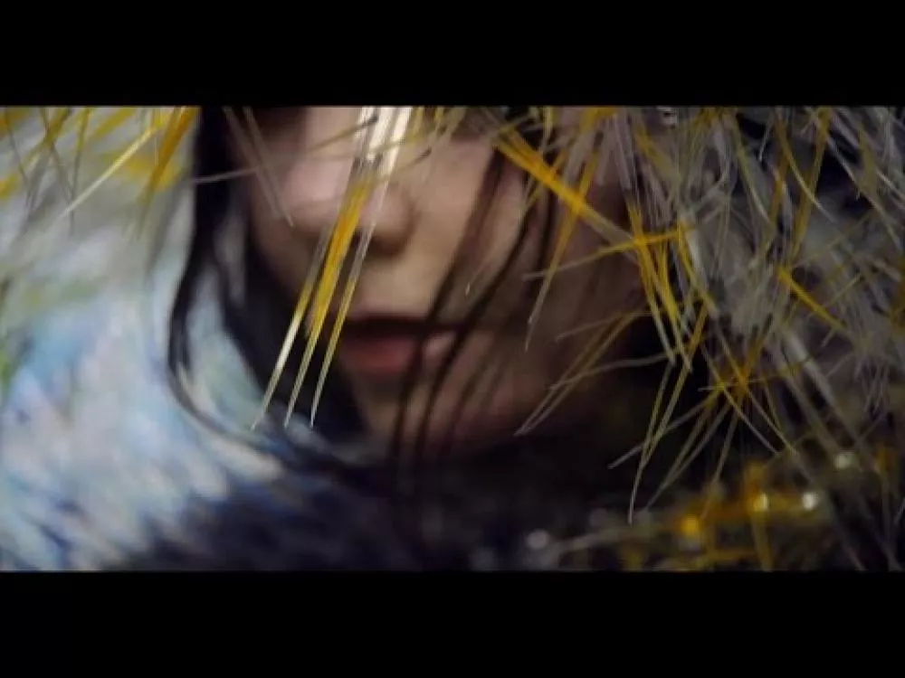 Illustration pour Björk dévoile le clip de « Lionsong »