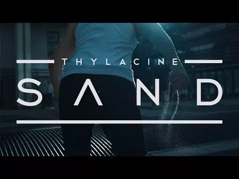 Illustration pour Clip&nbsp;: Thylacine &#8211; « Sand »