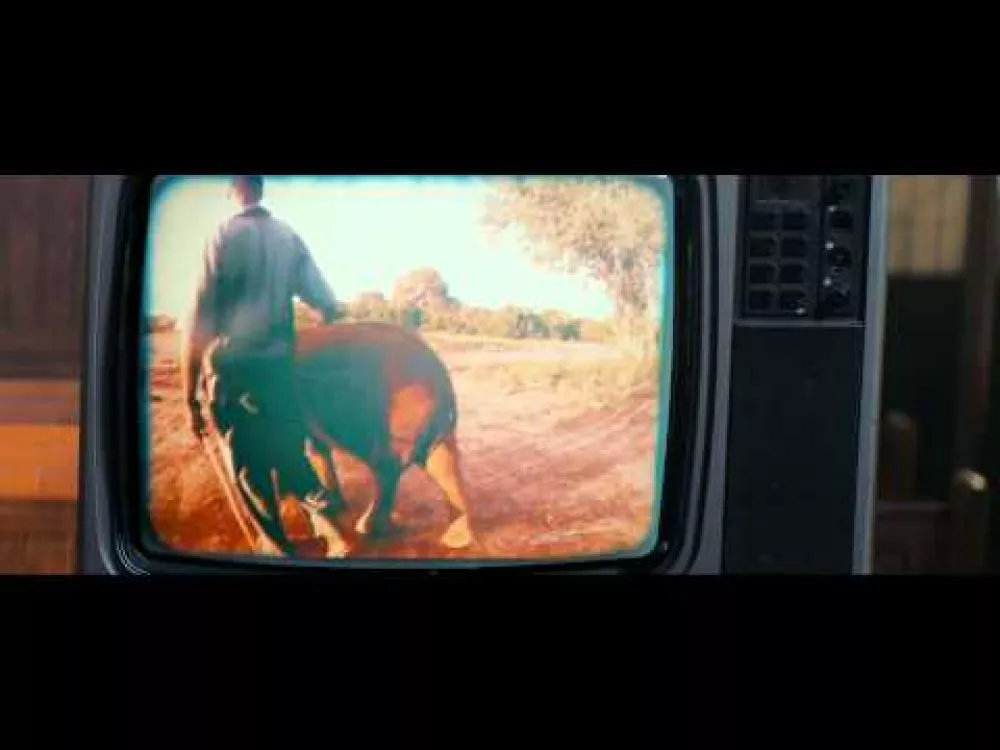 Illustration pour Clip&nbsp;: Damon Albarn &#8211; « Mr Tembo »