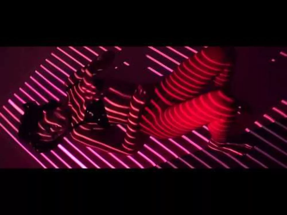 Illustration pour Un clip sexy pour Panthère (chanteuse de Lilly Wood &#038; The Prick + Club Cheval)