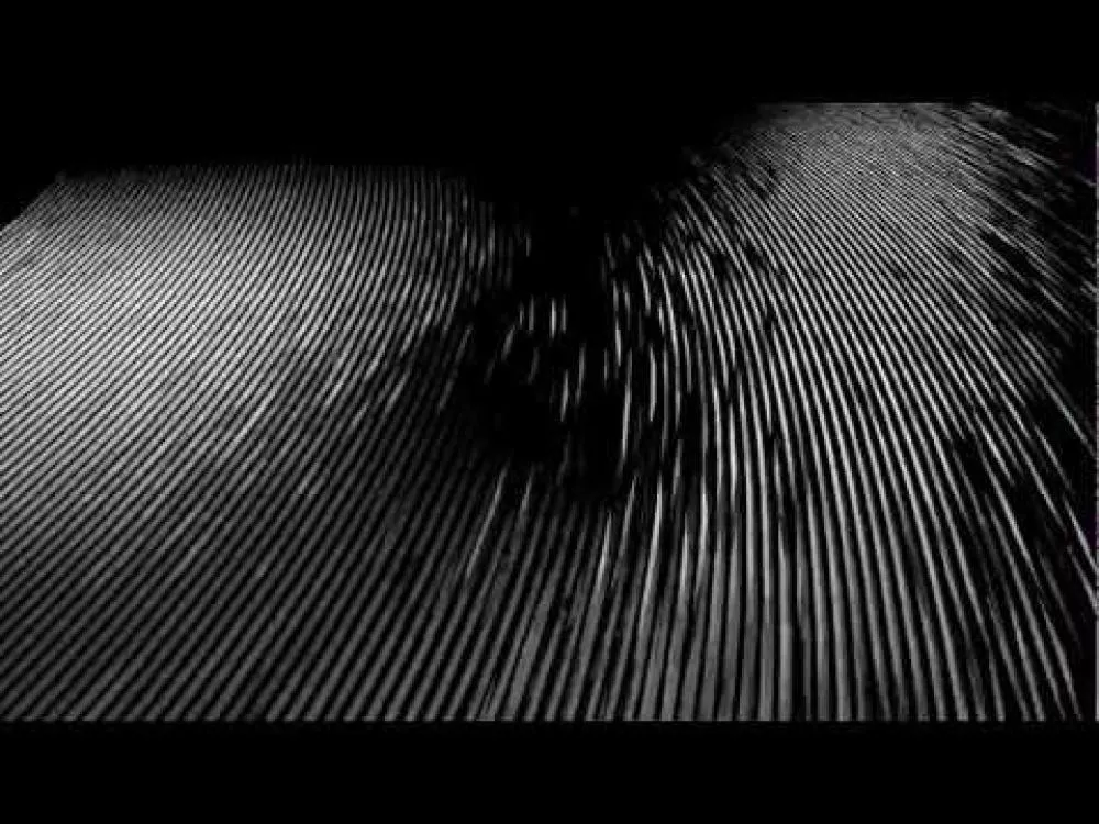 Illustration pour Clip&nbsp;: James Blake &#8211; « Voyeur »