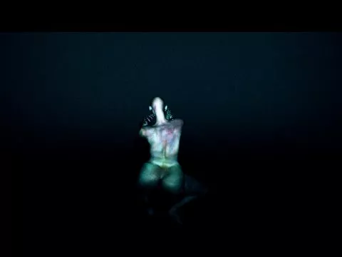 Illustration pour Du booty shake en images de synthèse dans le clip de Arca
