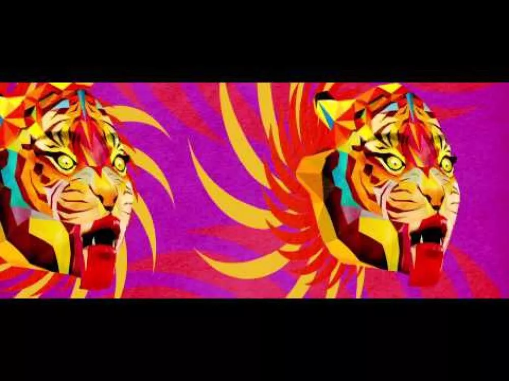 Illustration pour Clip&nbsp;: Sufjan Stevens &#8211; « Year Of The Tiger »