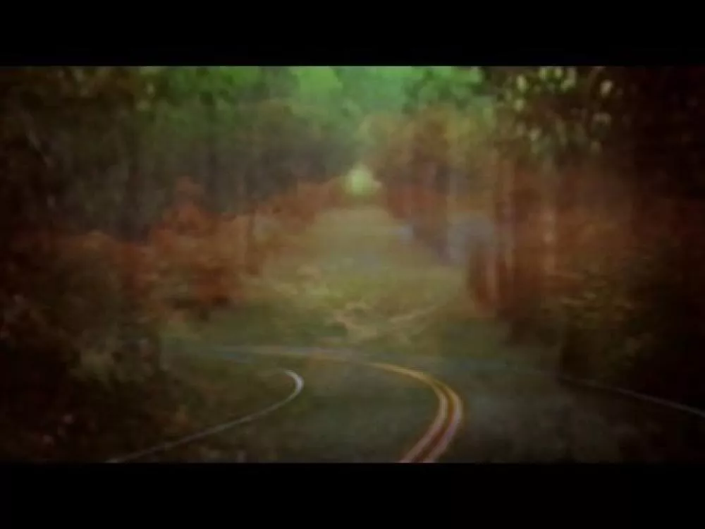 Illustration pour Clip: Bibio &#8211; « Dye The Water Green »
