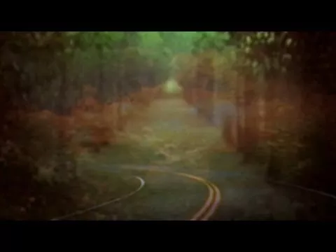 Illustration pour Clip: Bibio &#8211; « Dye The Water Green »