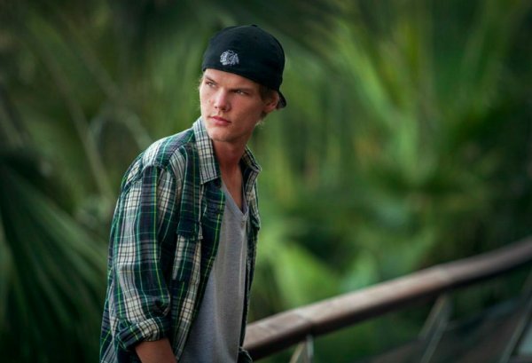 Illustration pour Avicii arrête la musique