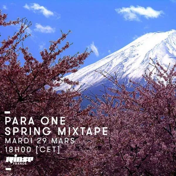 Illustration pour Para One a sorti sa mixtape du printemps