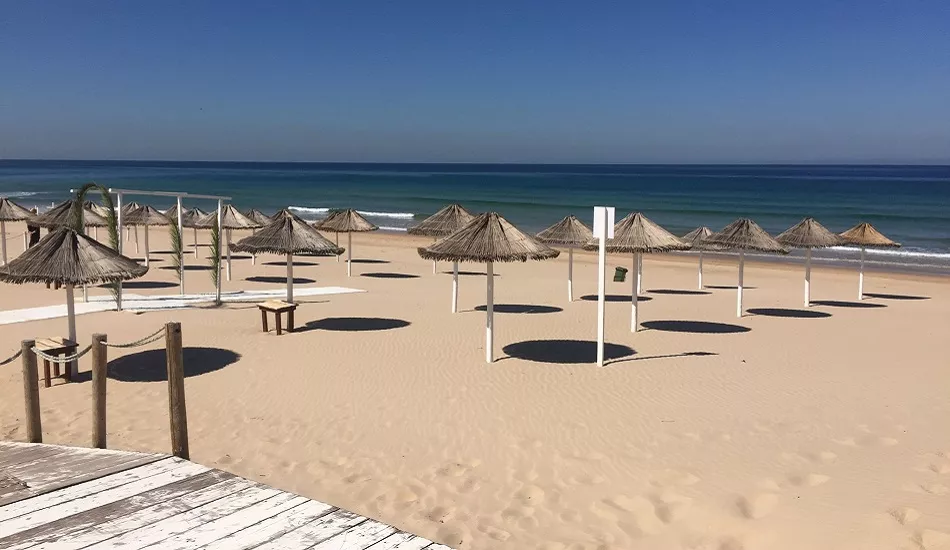 Illustration pour La version lisboète des Plages Electroniques donne très envie de prendre un billet pour le Portugal