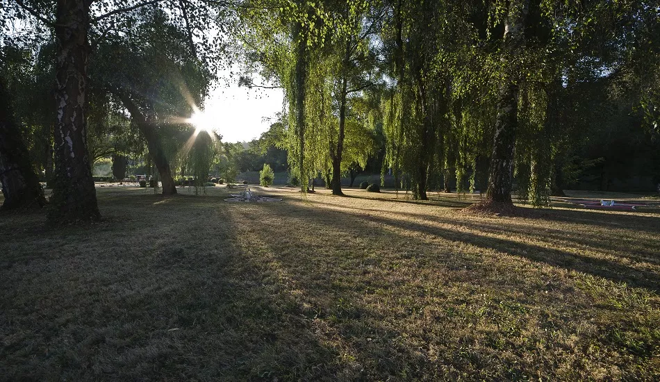 Illustration pour Experiment Intrinsic : immersion audiovisuelle en Dordogne