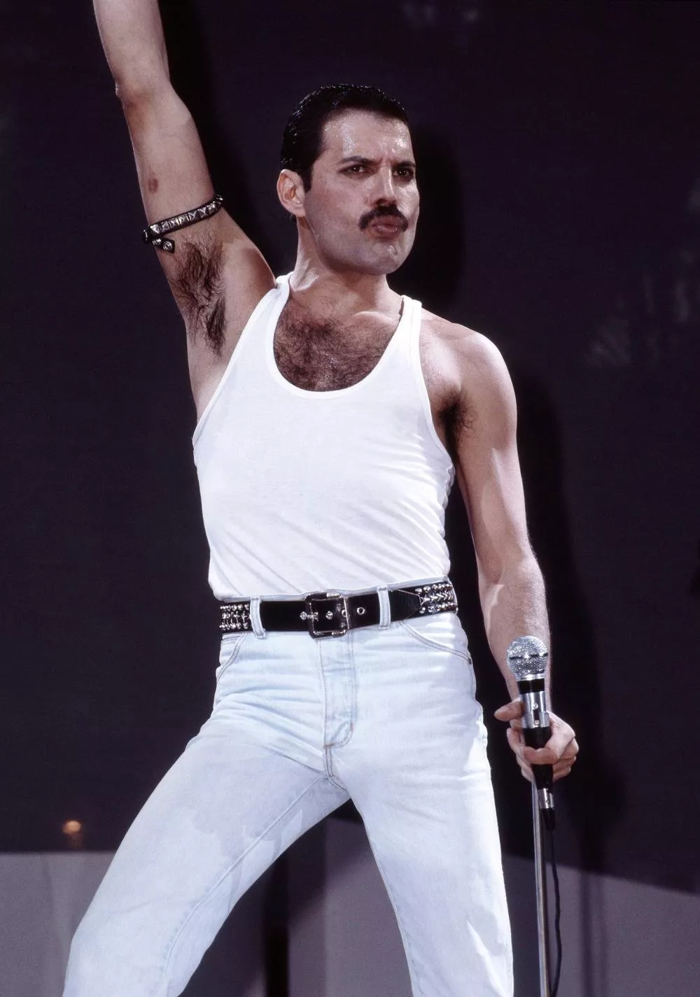 Illustration pour freddie