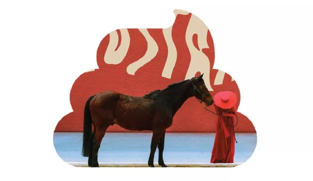 Illustration pour La bouse du mois&nbsp;: Austra &#8211; « Future Politics »