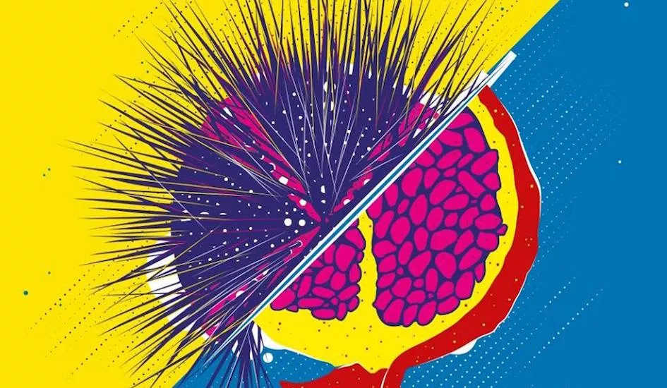 Illustration pour Tsugi Radio sera en direct du festival Fiesta des Suds à Marseille ce samedi !