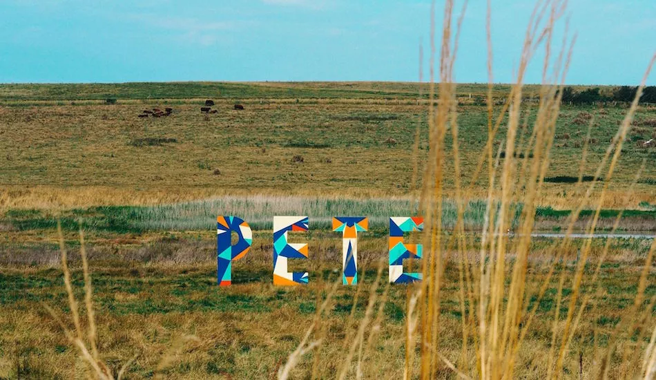 Illustration pour Le week-end du 14 juillet, Pete The Monkey défriche les talents, pas la forêt