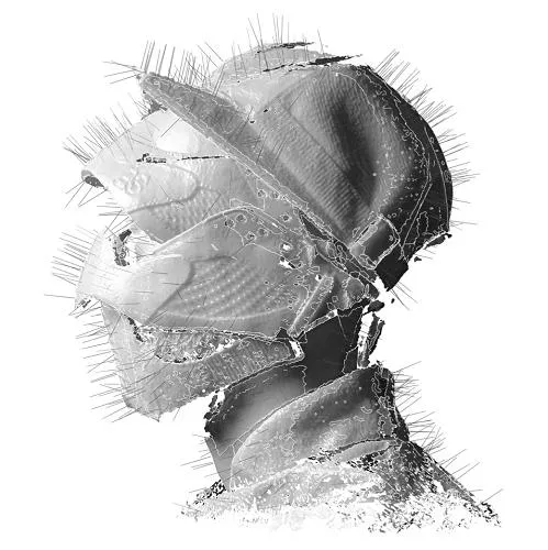 Illustration pour Woodkid, l&rsquo;enfant sauvage (partie 2/2)