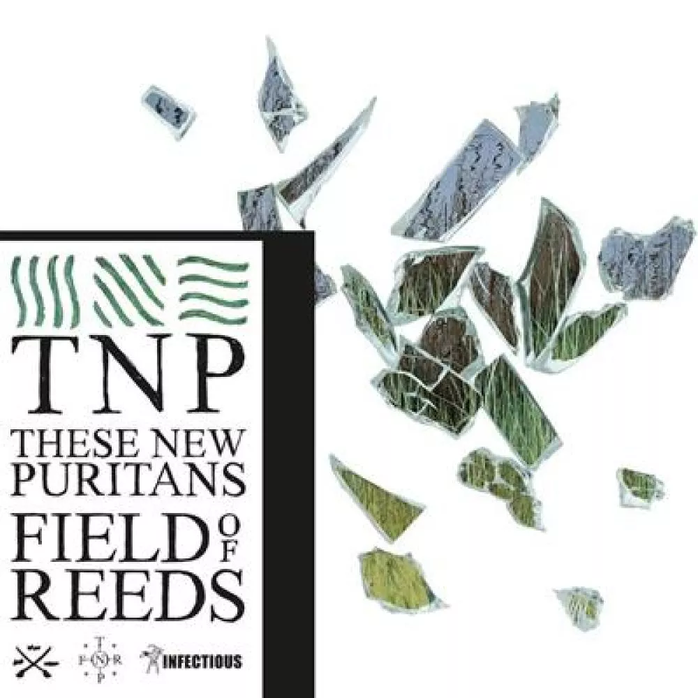 Illustration pour Chronique&nbsp;: These New Puritans &#8211; Field Of Reeds