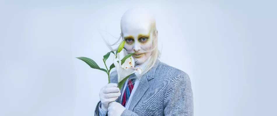 fever ray