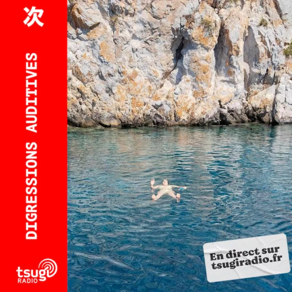 Disgressions Auditives avec Vanadís - Octobre 2024
