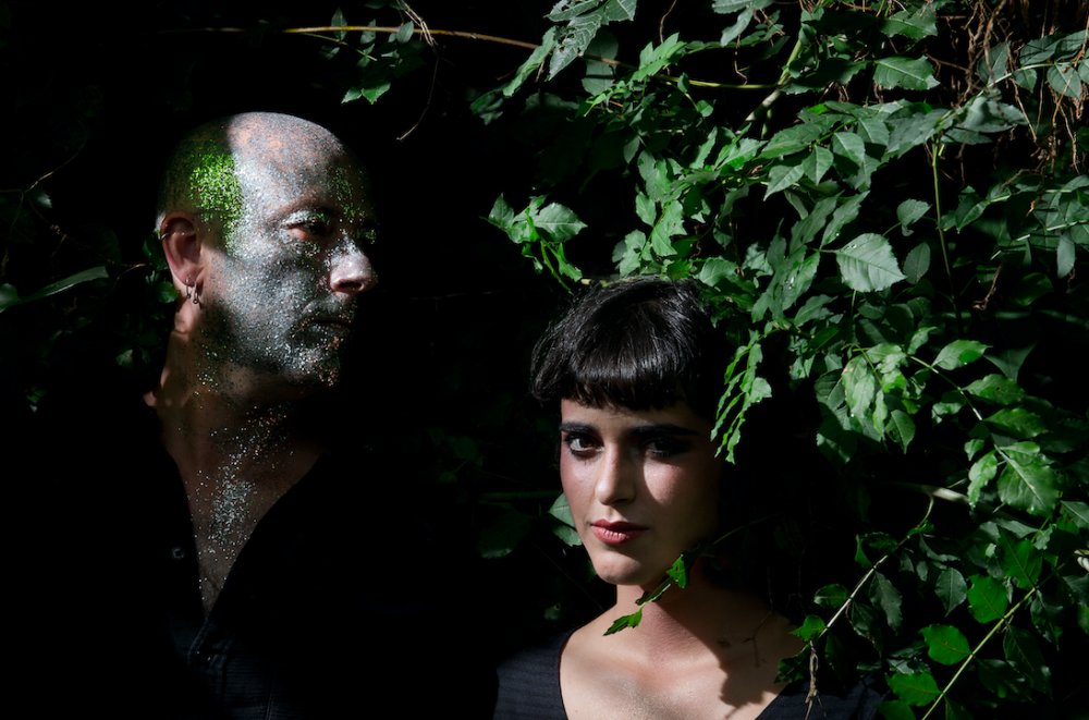 Illustration pour Dear deer