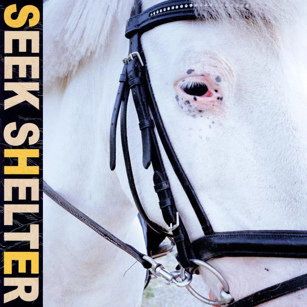 Illustration pour iceage-seek-shelter
