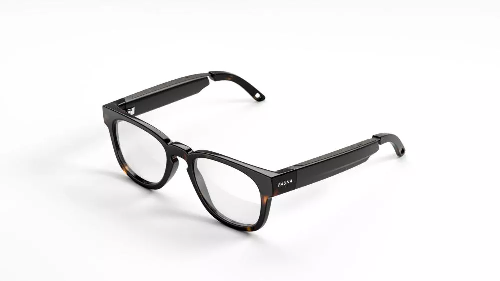 Illustration pour Fauna