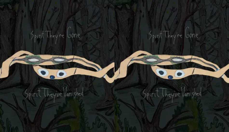 Animal Collective