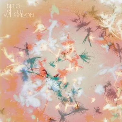 Illustration pour Chronique&nbsp;: Bibio &#8211; Silver Wilkinson