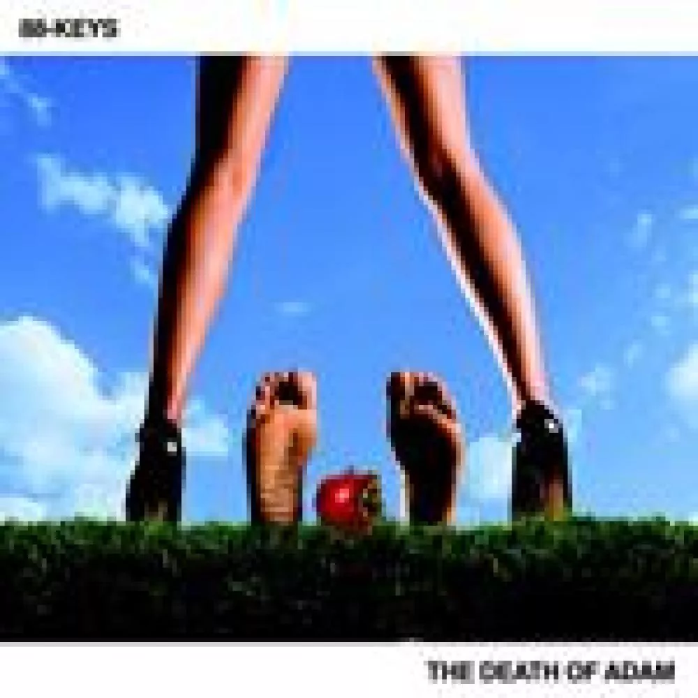 Illustration pour Chronique&nbsp;: 88-Keys &#8211; The Death Of Adam