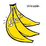 Illustration pour Chronique&nbsp;: Josh Wink &#8211; When A Banana Was Just A Banana