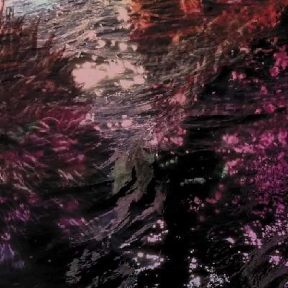 Illustration pour Chronique&nbsp;: Ricardo Tobar &#8211; Treillis