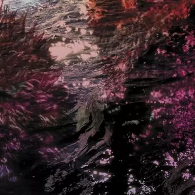 Illustration pour Chronique&nbsp;: Ricardo Tobar &#8211; Treillis