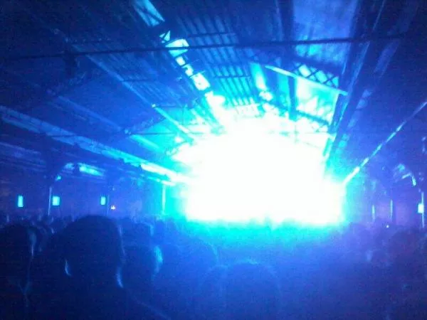 Illustration pour En direct du Peacock Society Festival au Parc Floral