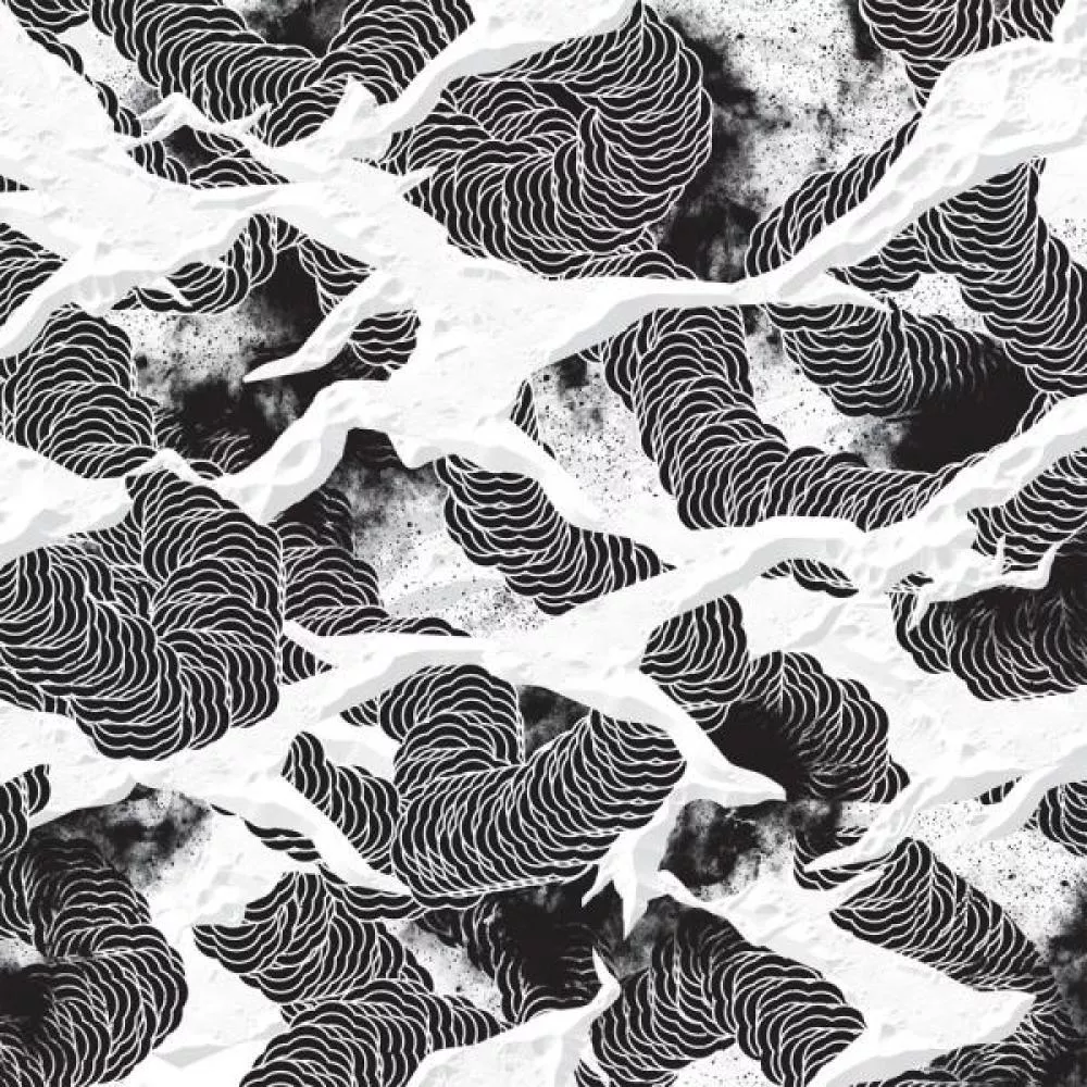 Illustration pour Le nouveau vinyle de la semaine (31): S. OLBRICHT