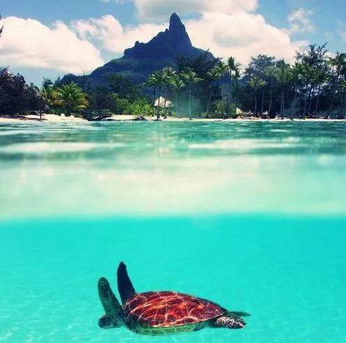 Illustration pour La playlist du mois: juillet&rsquo;15