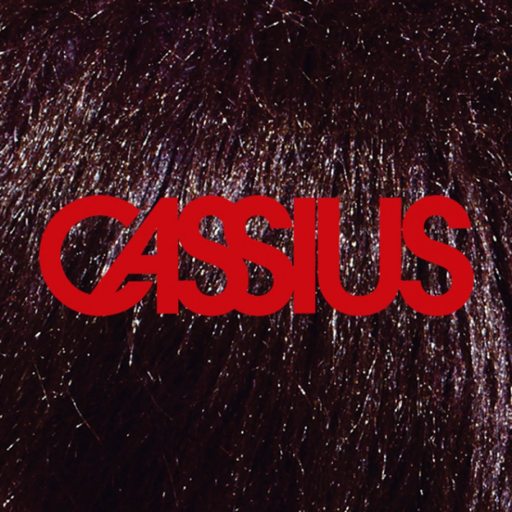 Illustration pour Cassius est de retour avec un nouveau titre !