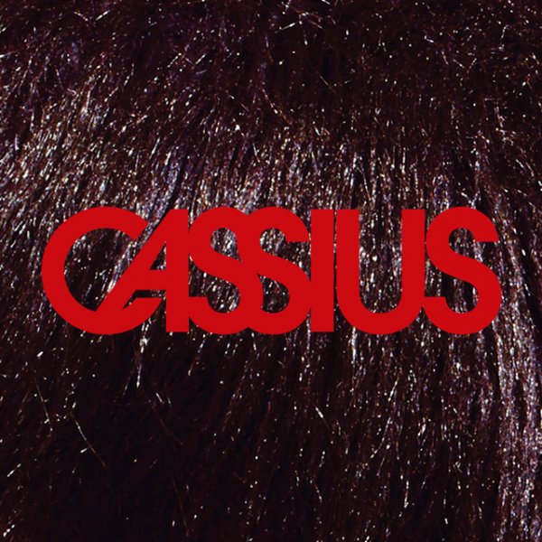 Illustration pour Cassius est de retour avec un nouveau titre !