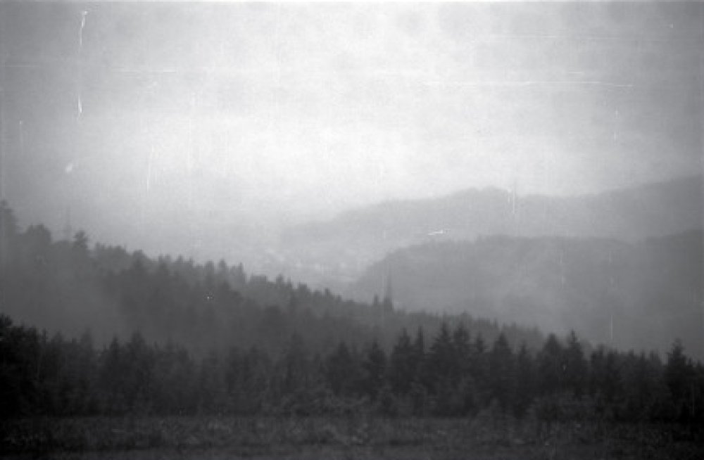 Illustration pour La playlist du dimanche #11