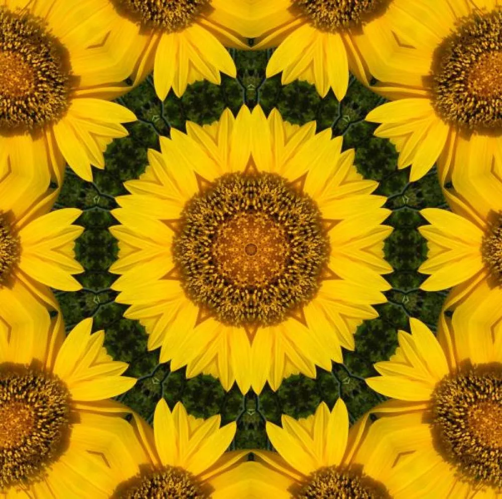 Illustration pour La playlist du mois&nbsp;: juillet &rsquo;16