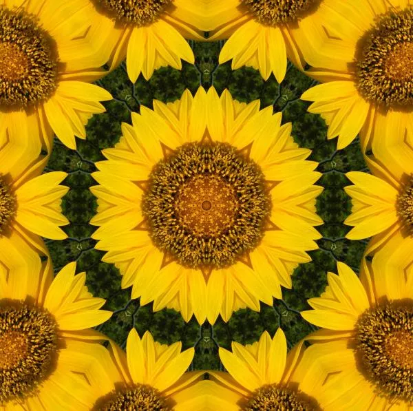 Illustration pour La playlist du mois&nbsp;: juillet &rsquo;16