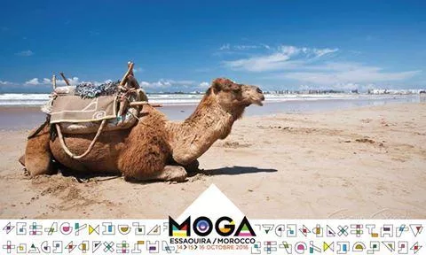 Illustration pour Le festival Moga au Maroc allonge sa programmation