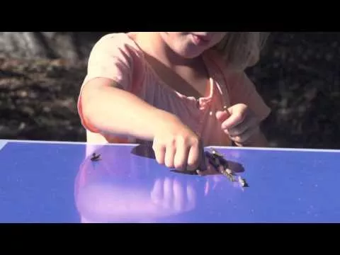 Illustration pour Babe&nbsp;: un très beau clip pour « Grotto »