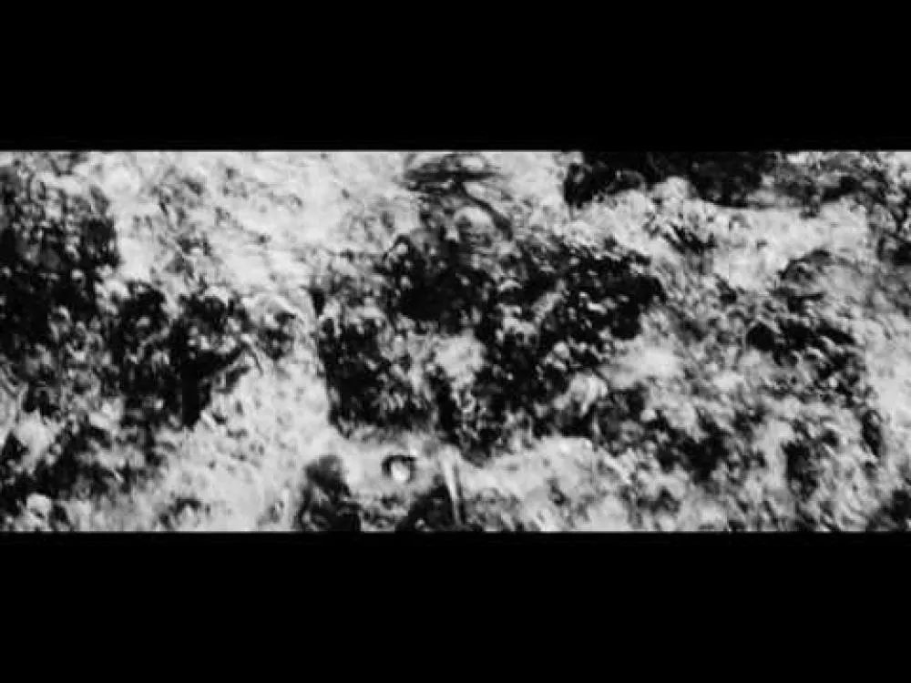 Illustration pour Clip&nbsp;: Reptile Youth &#8211; « JJ »