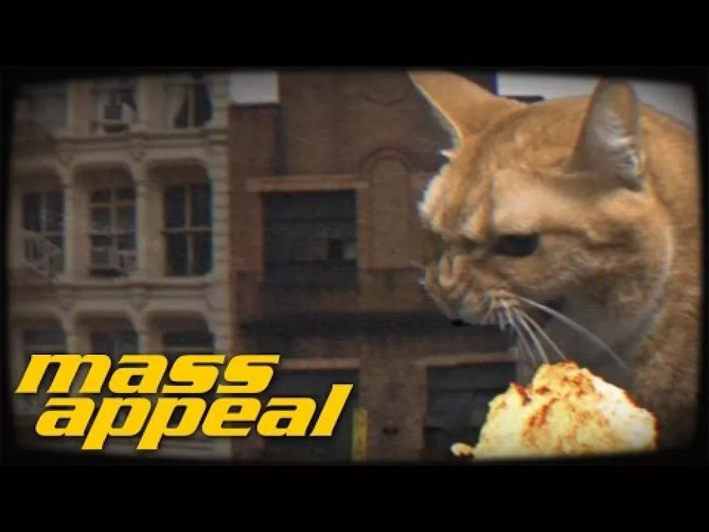 Illustration pour Des chats attaquent la ville dans le clip de Meow the Jewels