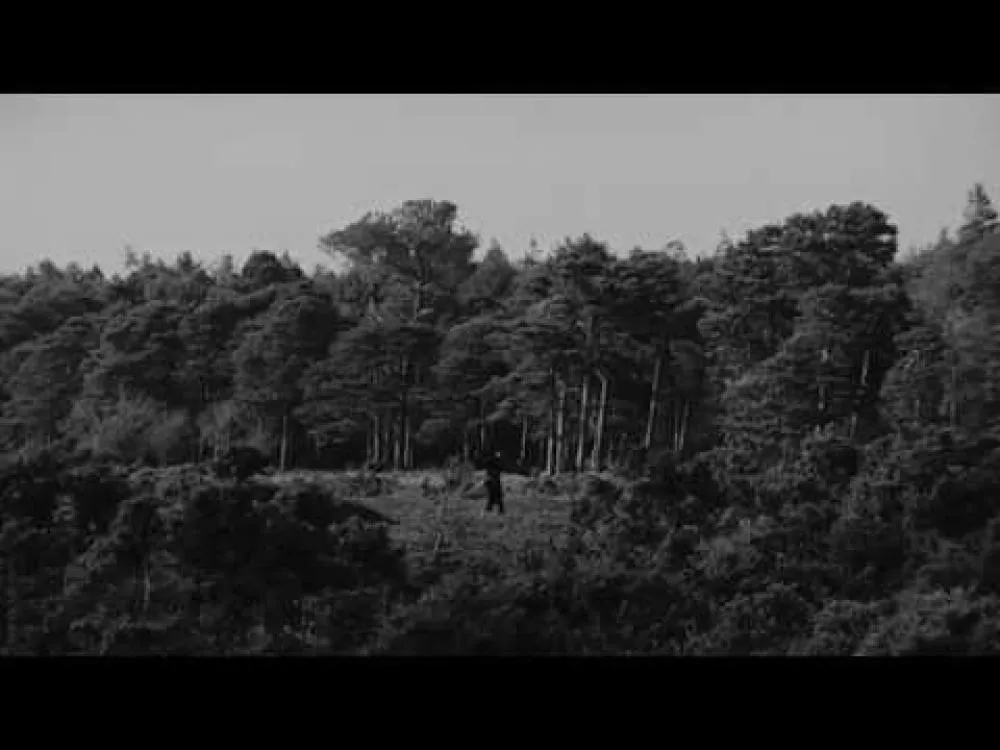 Illustration pour « Am Gone », le très beau clip d&rsquo;Adult Jazz