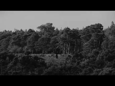 Illustration pour « Am Gone », le très beau clip d&rsquo;Adult Jazz