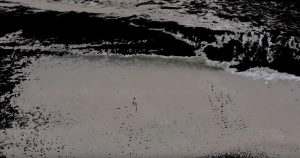 Illustration pour En écoute&nbsp;: Salem est de retour après cinq ans d&rsquo;absence