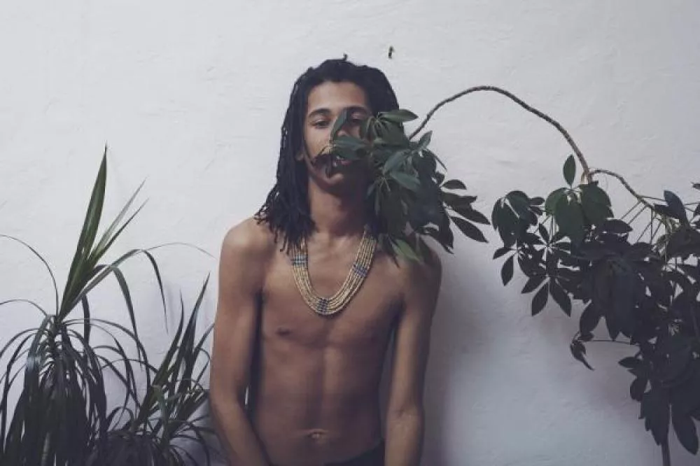 Illustration pour Exclu&nbsp;: Dream Koala a remixé une reprise de Joy Division par Nouvelle Vague