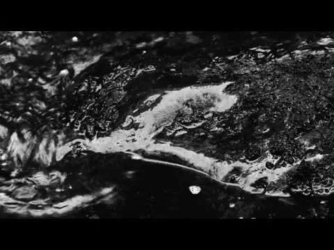 Illustration pour Clip exclusif&nbsp;: Flako &#8211; « Kuku »