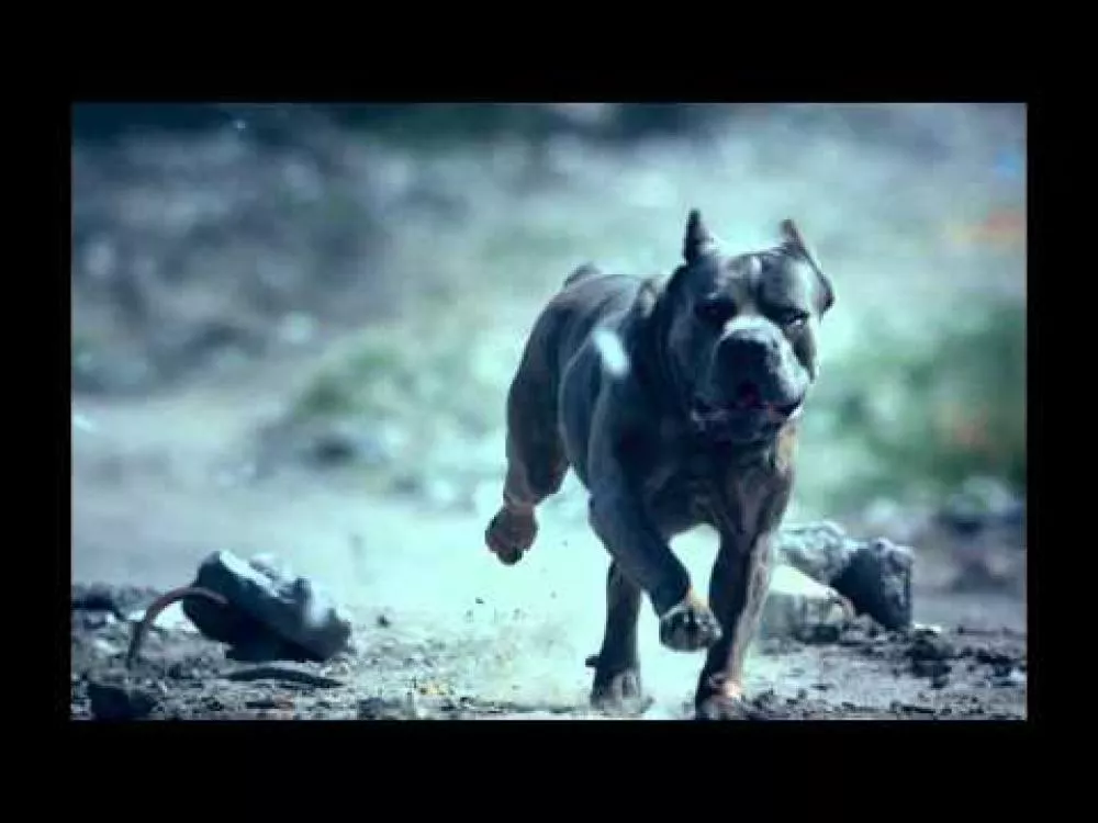 Illustration pour Foals fait un retour fracassant avec « What Went Down »