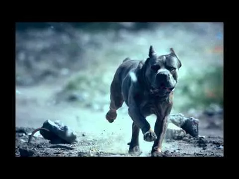 Illustration pour Foals fait un retour fracassant avec « What Went Down »